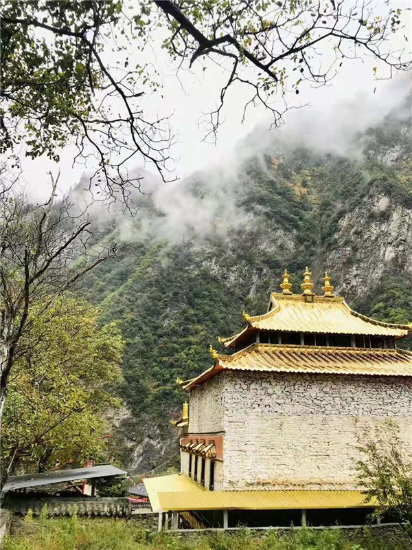 熊谷公司